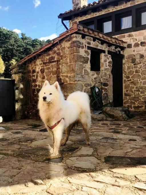 Casa Con Encanto Lagunanegra Y Urbion วินวยซา ภายนอก รูปภาพ